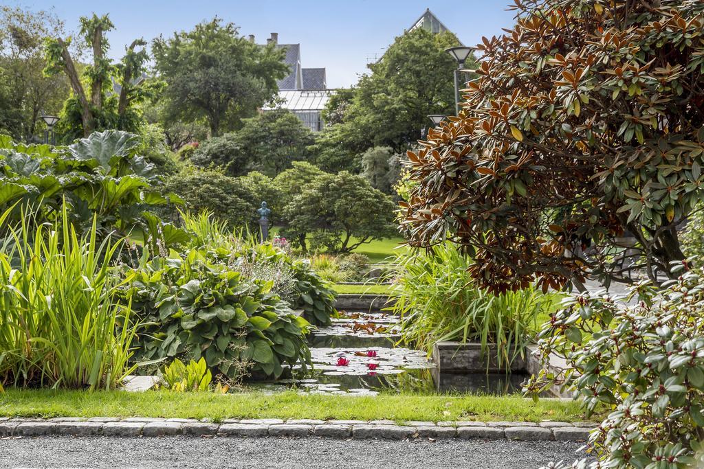 Villa Karine Bergen Bagian luar foto